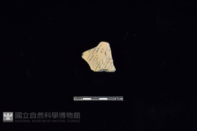 陶片藏品圖，第1張