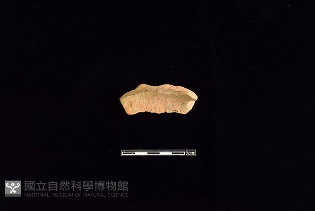陶片藏品圖，第1張