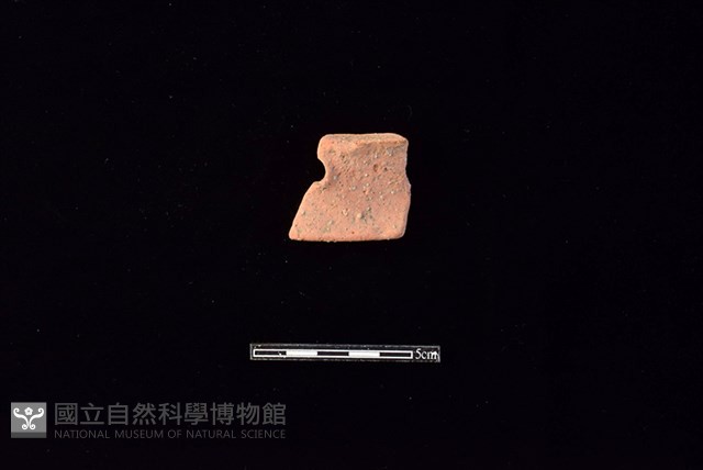 陶片藏品圖，第1張