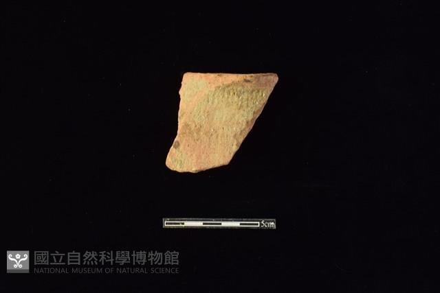 陶片藏品圖，第1張