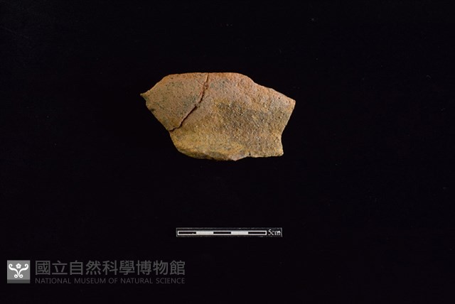 陶罐藏品圖，第1張