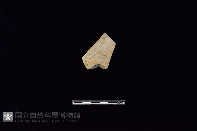 陶片藏品圖，第1張