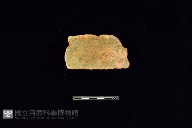 陶片藏品圖，第1張