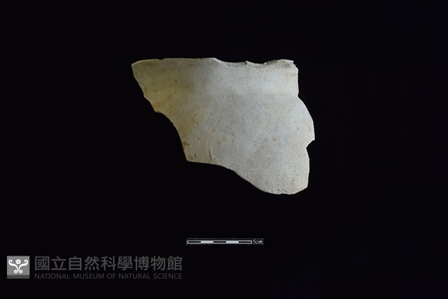 陶罐藏品圖，第1張
