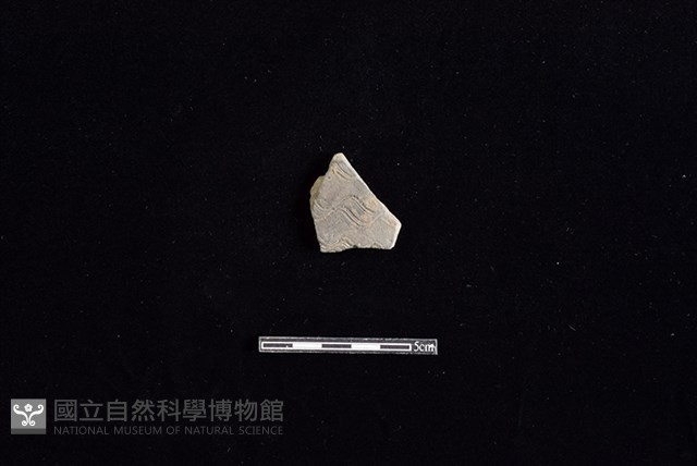 陶片藏品圖，第1張