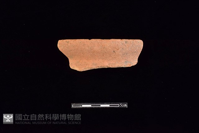 陶罐藏品圖，第1張