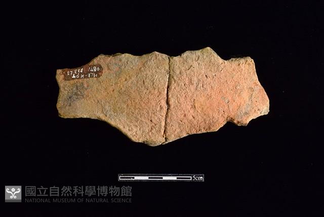 連杯形器藏品圖，第1張