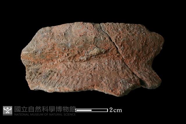 陶罐藏品圖，第1張