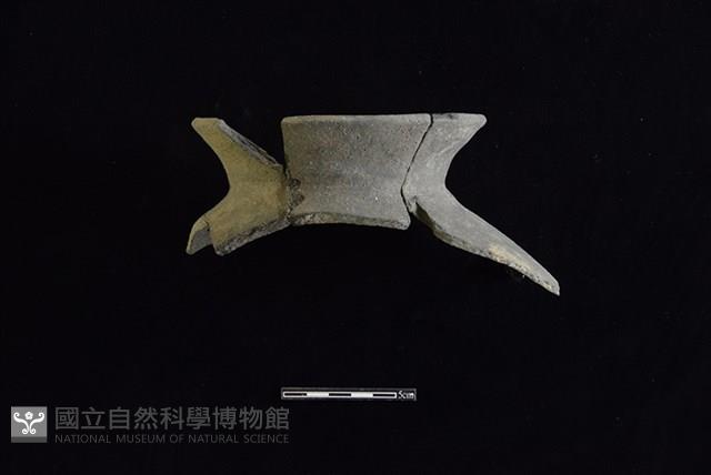 Accession Number:HLL-J PT1771 Collection Image, Figure 1, Total 2 Figures