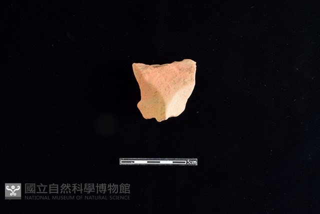 陶片藏品圖，第1張