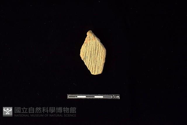 陶片藏品圖，第1張