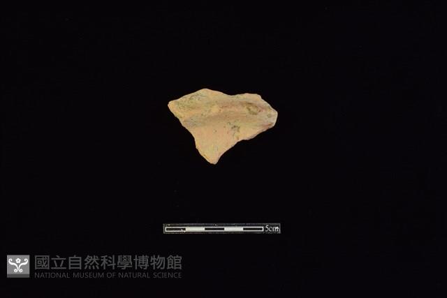 陶片藏品圖，第1張