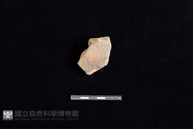 陶罐藏品圖，第1張