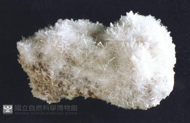 透石膏藏品圖，第4張