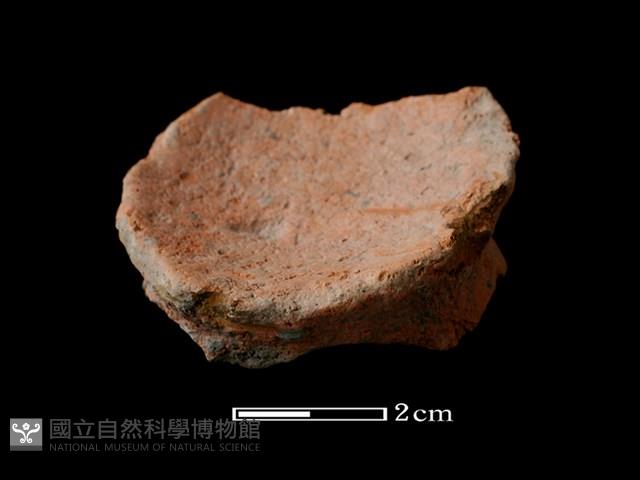 陶片藏品圖，第1張