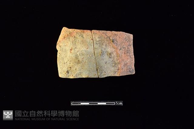 陶片藏品圖，第1張