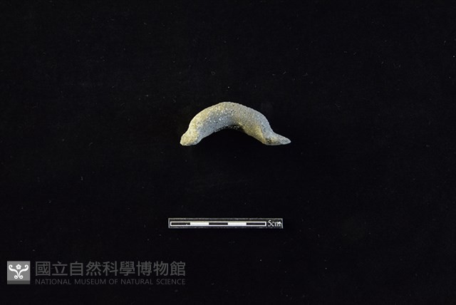 陶把藏品圖，第1張