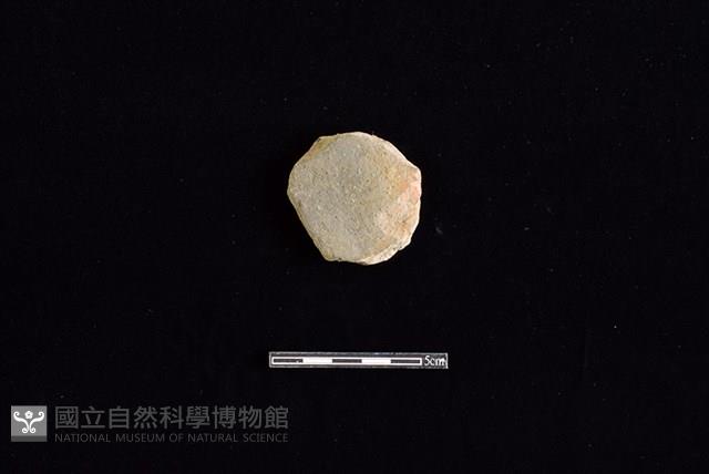 陶片藏品圖，第1張