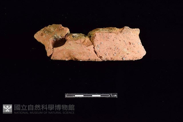 陶片藏品圖，第1張