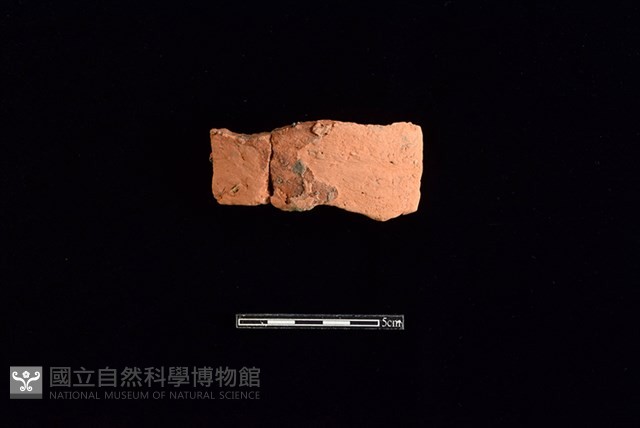 連杯形器藏品圖，第1張