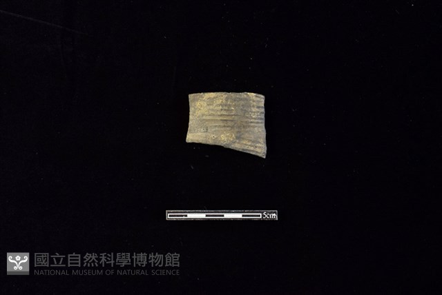陶片藏品圖，第1張