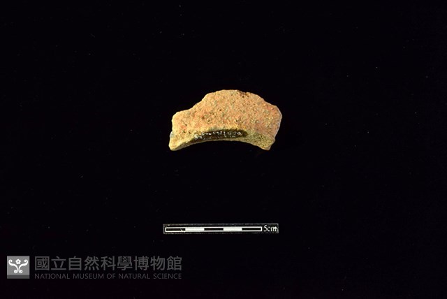陶罐藏品圖，第1張