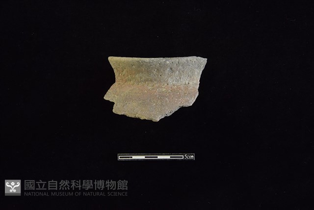 陶罐藏品圖，第1張