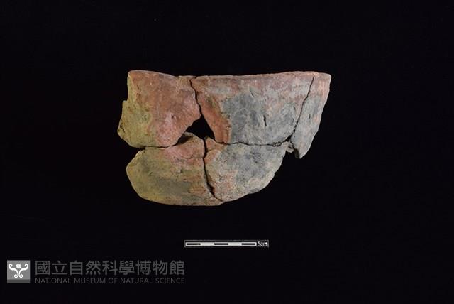 陶缽藏品圖，第1張