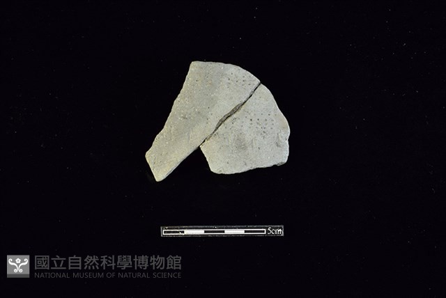 陶片藏品圖，第1張