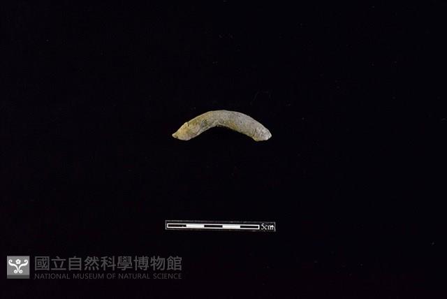 陶把藏品圖，第1張