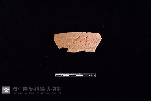 陶罐藏品圖，第1張