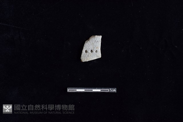 陶片藏品圖，第1張