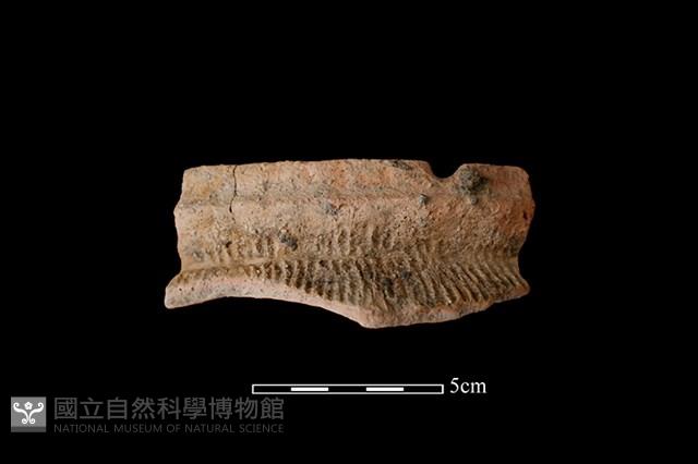 陶罐藏品圖，第1張