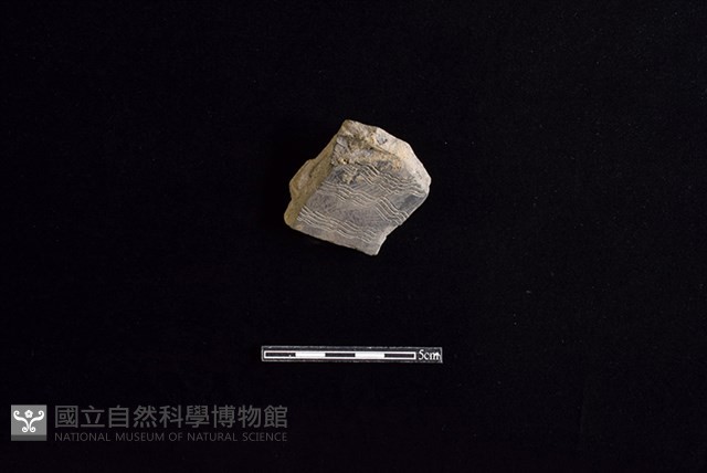 陶罐藏品圖，第1張