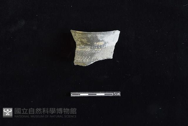 Accession Number:HLL-J PT1851 Collection Image, Figure 1, Total 2 Figures