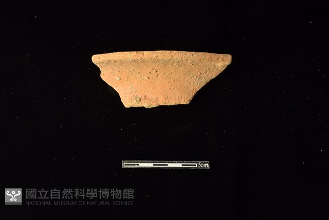 陶罐藏品圖，第1張