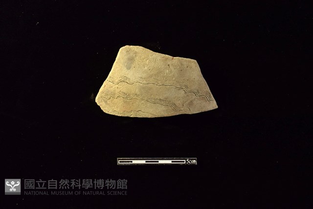 陶片藏品圖，第1張