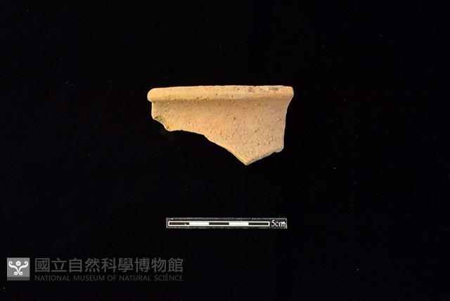 陶罐藏品圖，第1張