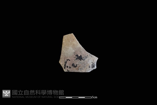 陶片藏品圖，第1張