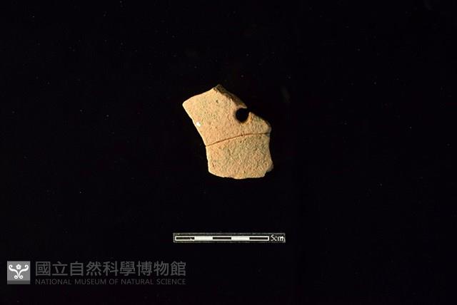 陶片藏品圖，第1張