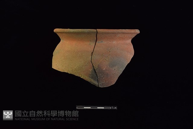 陶罐藏品圖，第1張