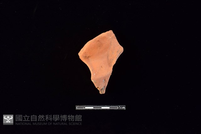 連杯形器藏品圖，第1張