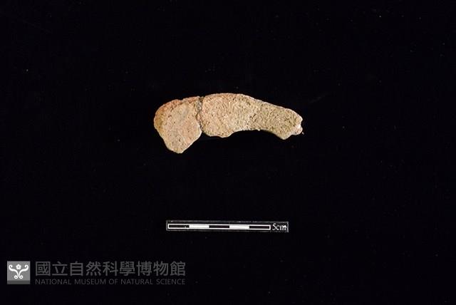 陶片藏品圖，第1張