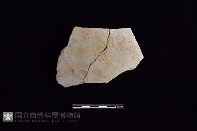 陶片藏品圖，第1張