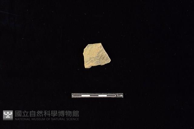 陶片藏品圖，第1張