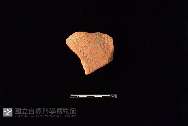 連杯形器藏品圖，第1張