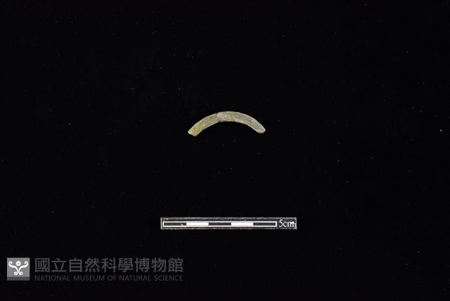 陶環藏品圖，第1張