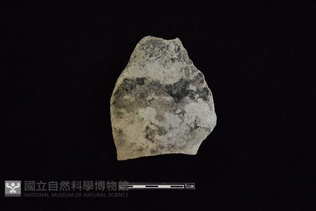 陶片藏品圖，第1張