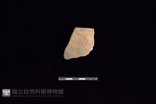 陶片藏品圖，第1張