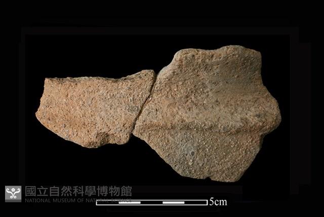 陶缽藏品圖，第1張